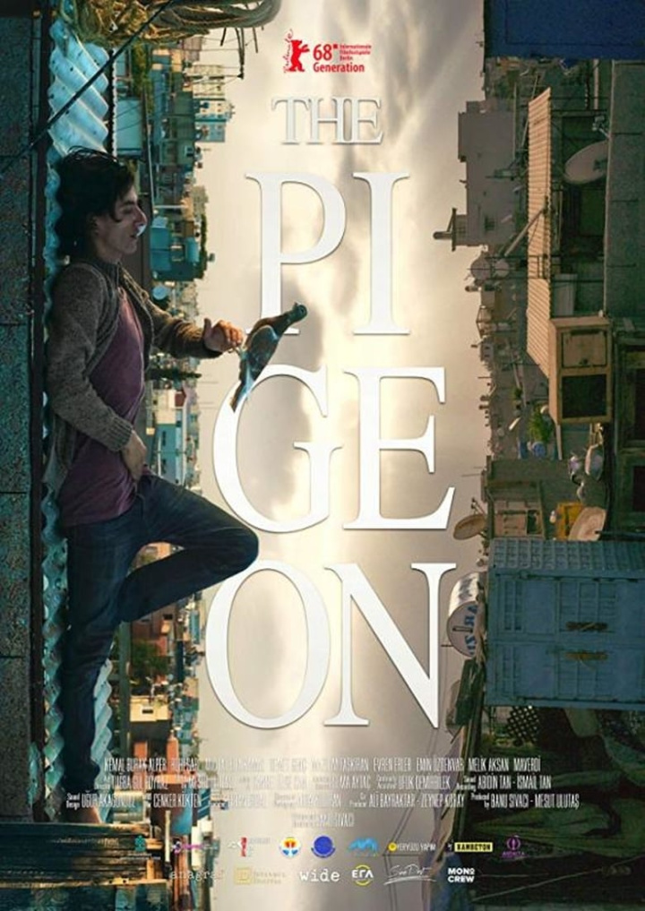 The Pigeon i gruppen Alla filmer hos Mohamad shop (493902)