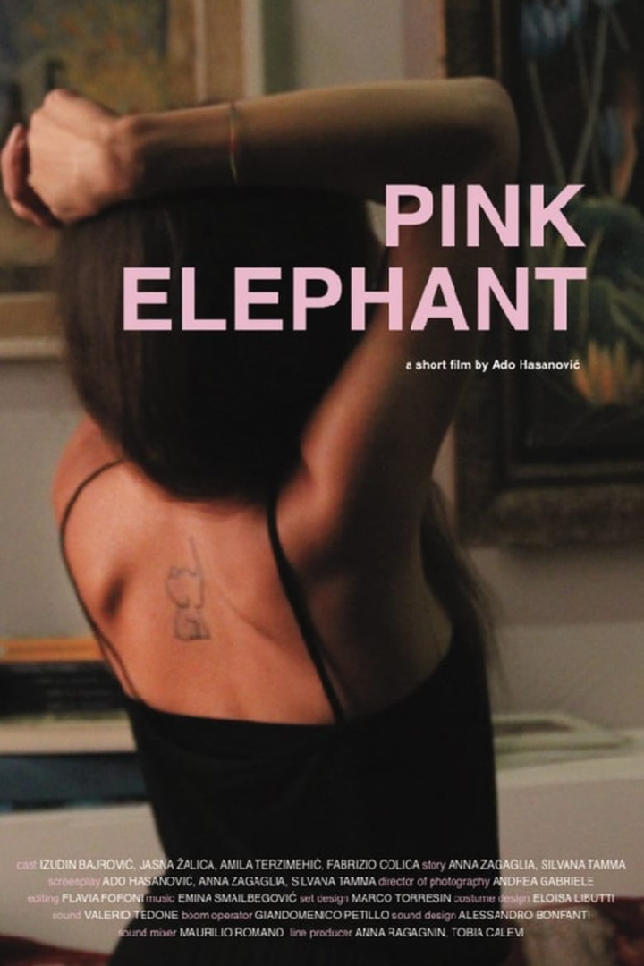 Pink Elephant i gruppen Alla filmer hos Mohamad shop (494007)