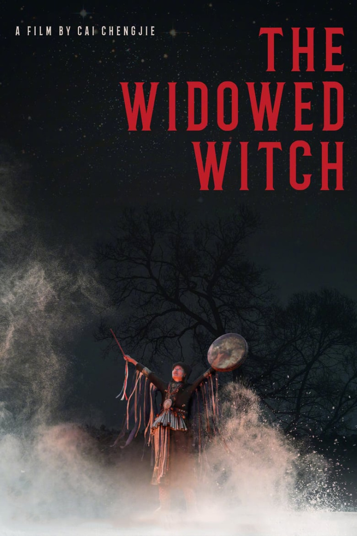 The Widowed Witch i gruppen Alla filmer hos Mohamad shop (494795)