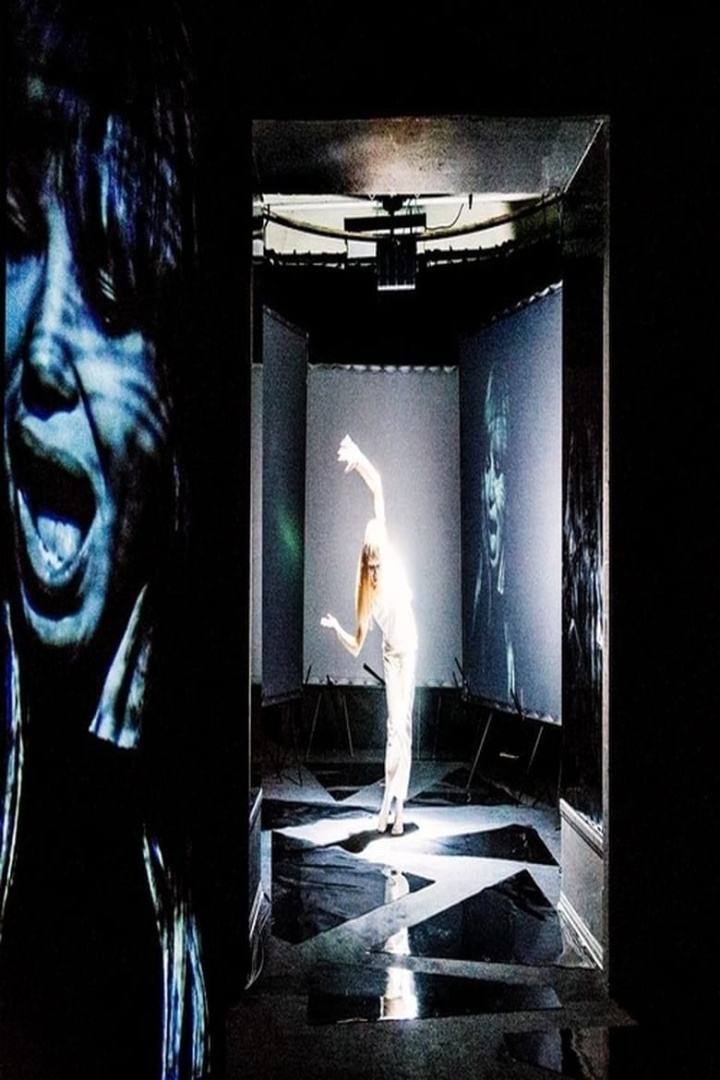 Nico - Sphinx of Ice i gruppen Alla filmer hos Mohamad shop (494826)