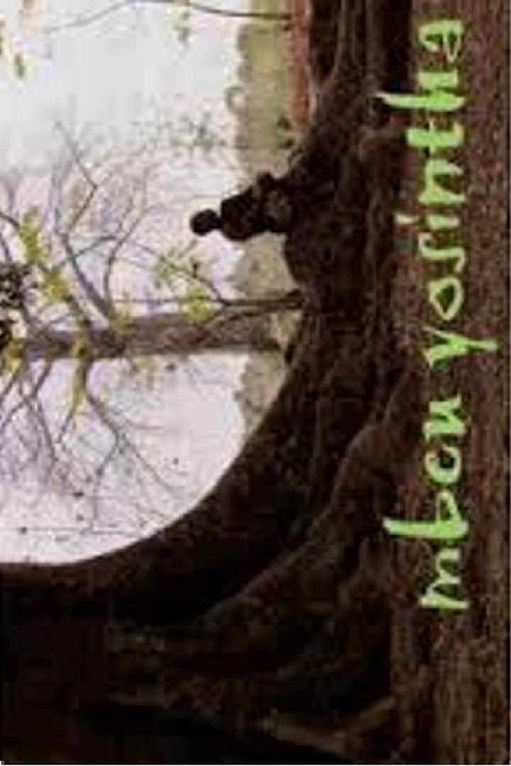 Seeds of Change i gruppen Drama hos Mohamad shop (494842)