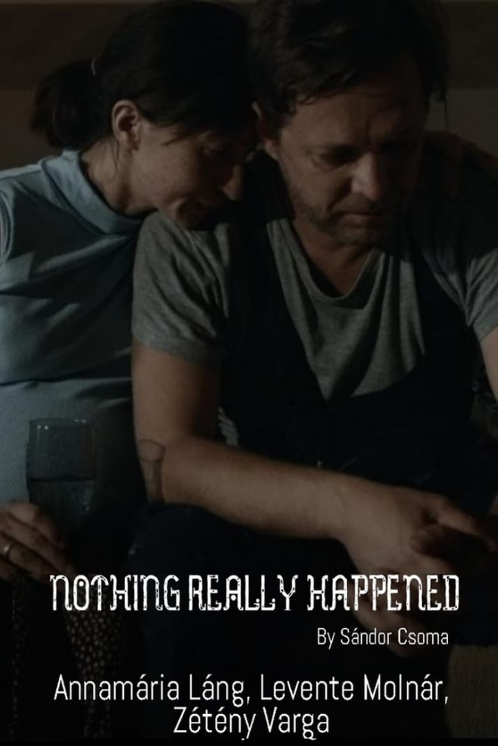 Nothing Really Happened i gruppen Alla filmer hos Mohamad shop (494942)