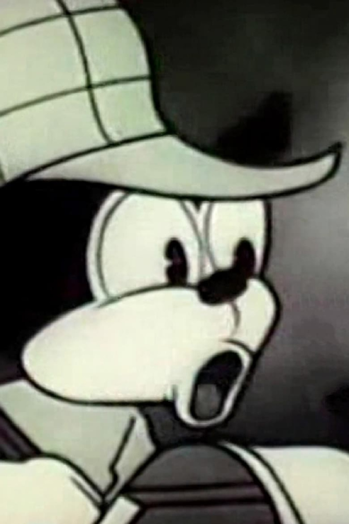 Max Fleischer: Lost Cartoons i gruppen Alla filmer hos Mohamad shop (495373)