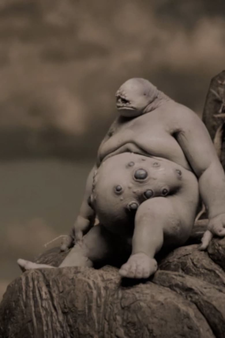 Mutation i gruppen Alla filmer hos Mohamad shop (495381)