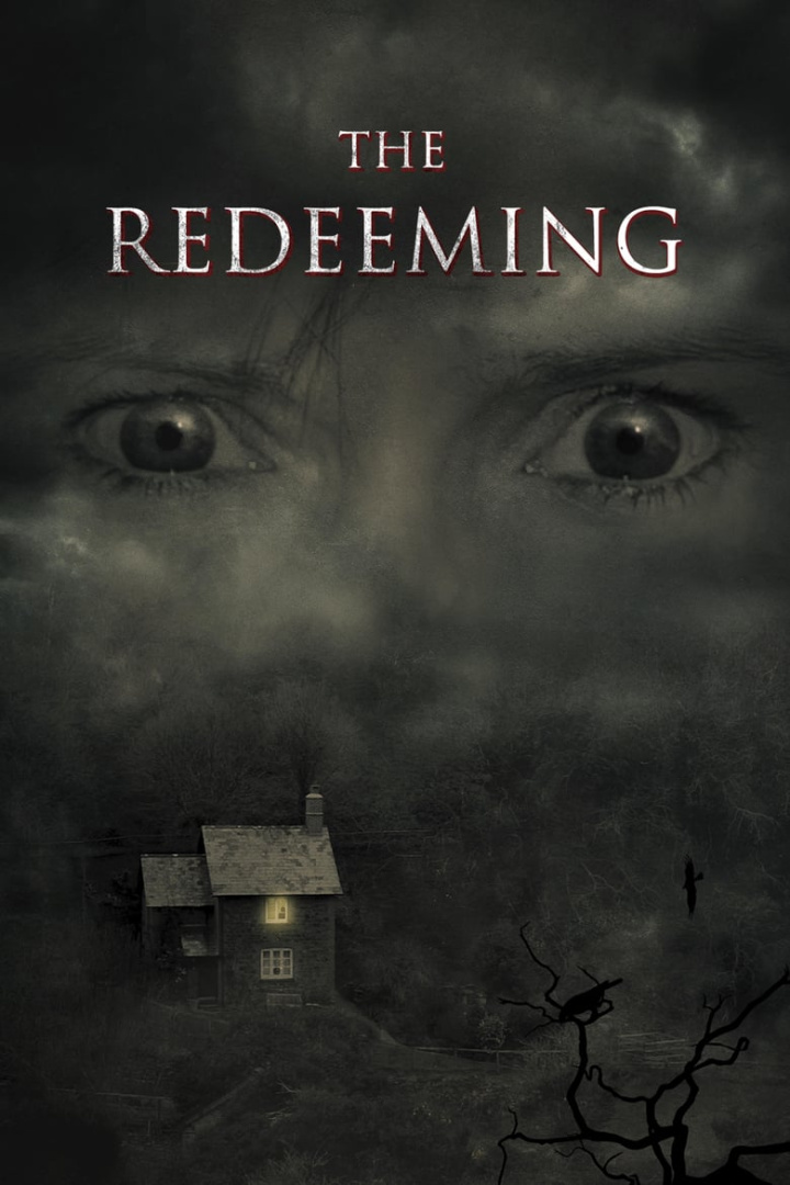 The Redeeming i gruppen Alla filmer hos Mohamad shop (495849)