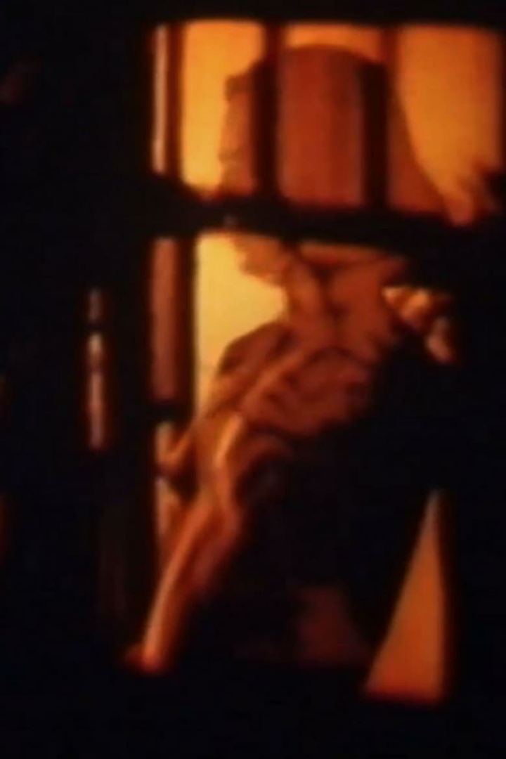 The Evolution of the Stones i gruppen Alla filmer hos Mohamad shop (495952)