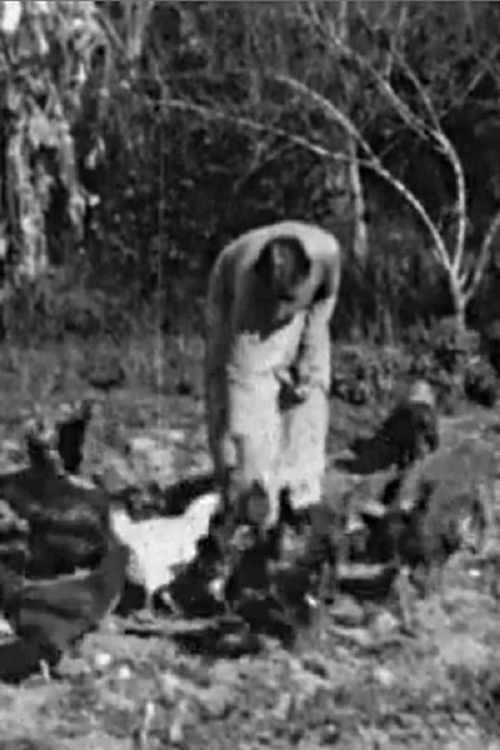 Fuentes Family Ranch i gruppen Alla filmer hos Mohamad shop (496549)