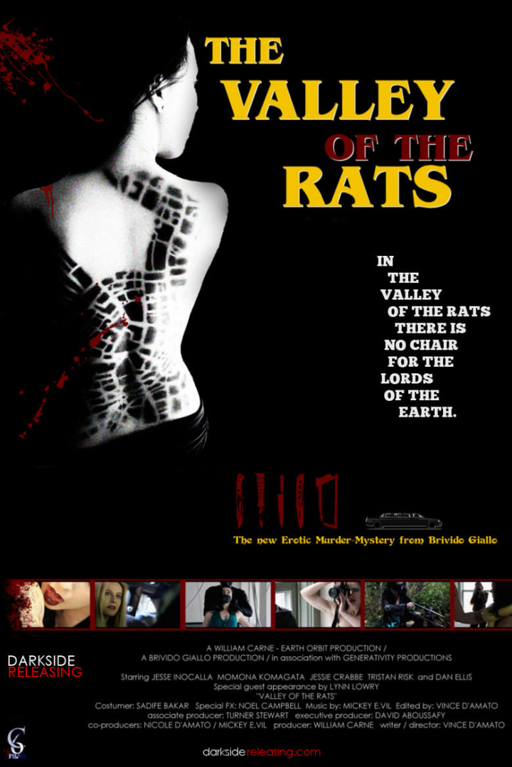Valley of the Rats i gruppen Alla filmer hos Mohamad shop (496594)