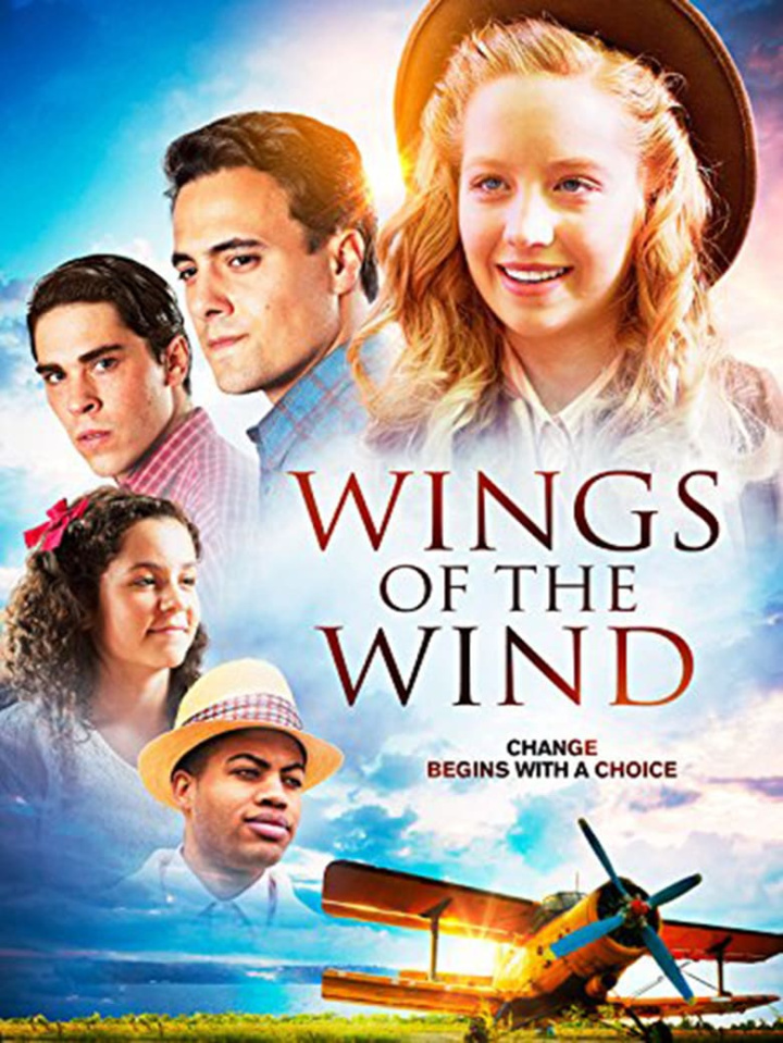 Wings of the Wind i gruppen Alla filmer hos Mohamad shop (496791)