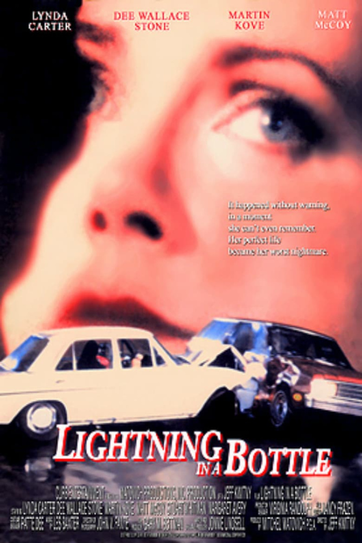 Lightning in a Bottle i gruppen Alla filmer hos Mohamad shop (496978)