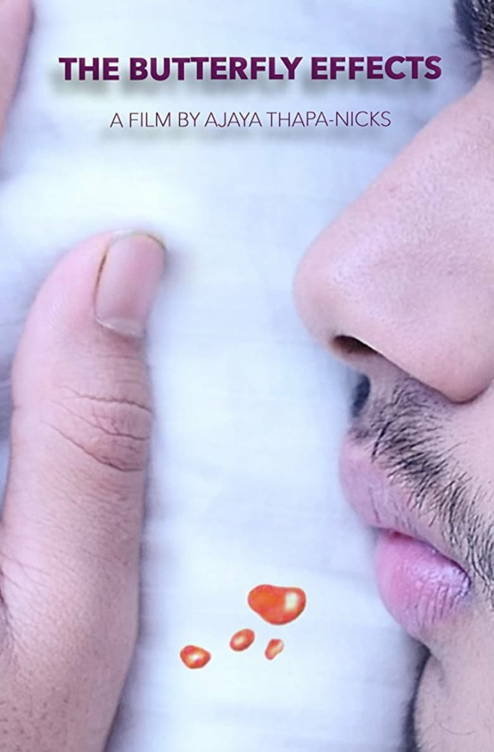 The Butterfly Effects i gruppen Alla filmer hos Mohamad shop (497374)