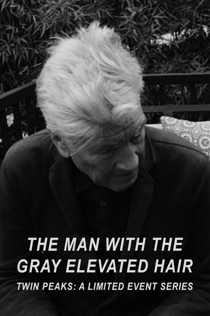 The Man with the Gray Elevated Hair i gruppen Alla filmer hos Mohamad shop (497607)