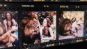 Roar : The Most Dangerous Film Ever Made