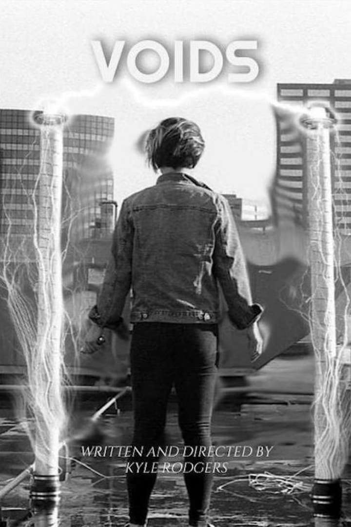 Voids i gruppen Alla filmer hos Mohamad shop (498009)