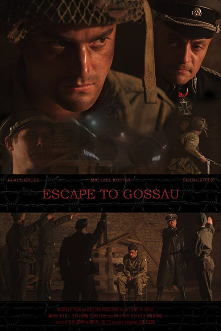 Escape to Gossau i gruppen Alla filmer hos Mohamad shop (498169)
