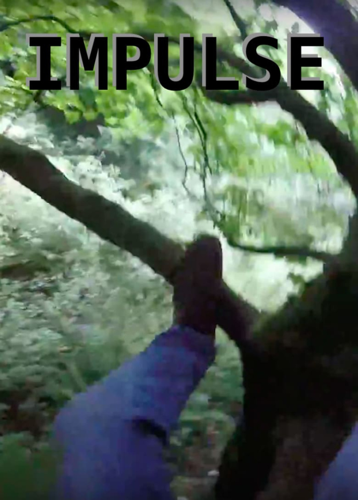 Impulse i gruppen Alla filmer hos Mohamad shop (498233)