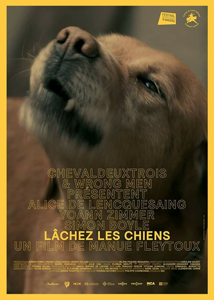Lâchez les chiens i gruppen Alla filmer hos Mohamad shop (498411)