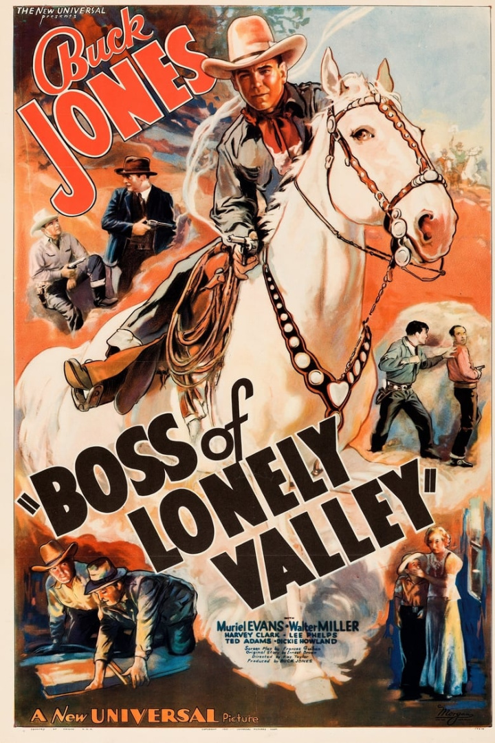 Boss of Lonely Valley i gruppen Alla filmer hos Mohamad shop (499175)