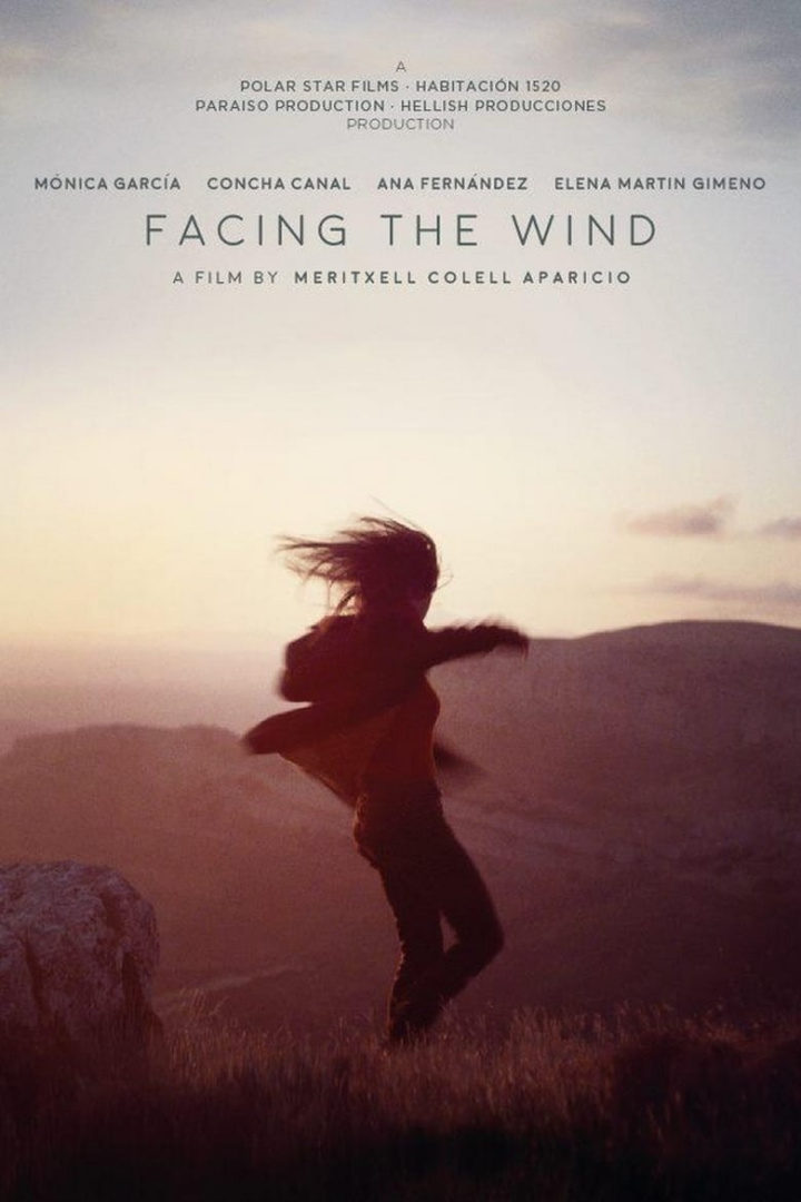 Facing the Wind i gruppen Alla filmer hos Mohamad shop (499547)