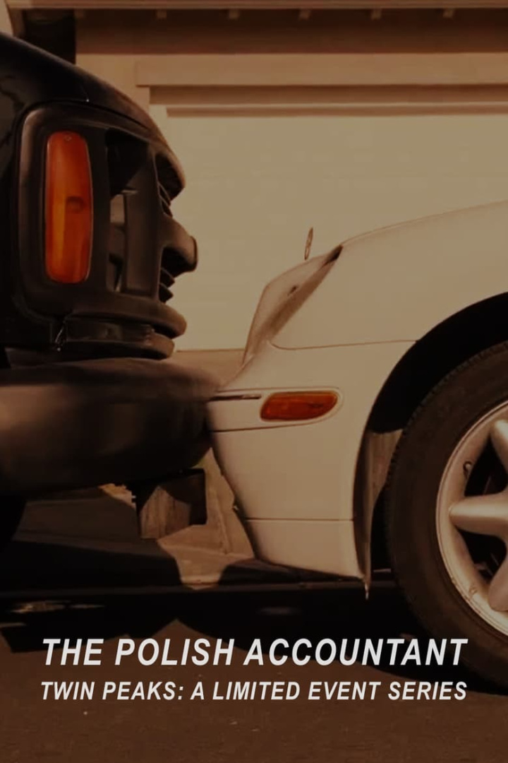The Polish Accountant i gruppen Alla filmer hos Mohamad shop (499781)