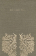 The Blazing World