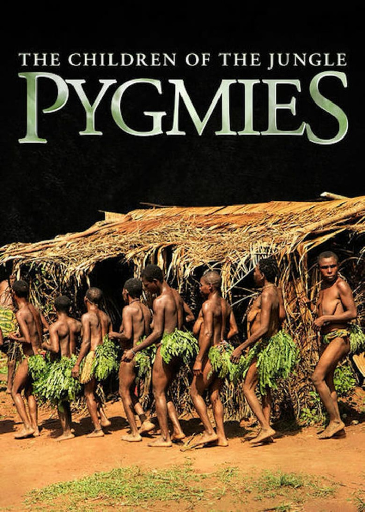 Pygmies: The Children of the Jungle i gruppen Alla filmer hos Mohamad shop (500082)