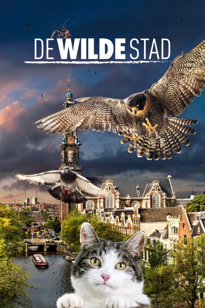 Wild Amsterdam i gruppen Alla filmer hos Mohamad shop (500107)