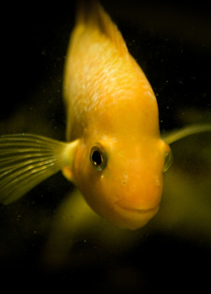 Taking Stock i gruppen Alla filmer hos Mohamad shop (500213)