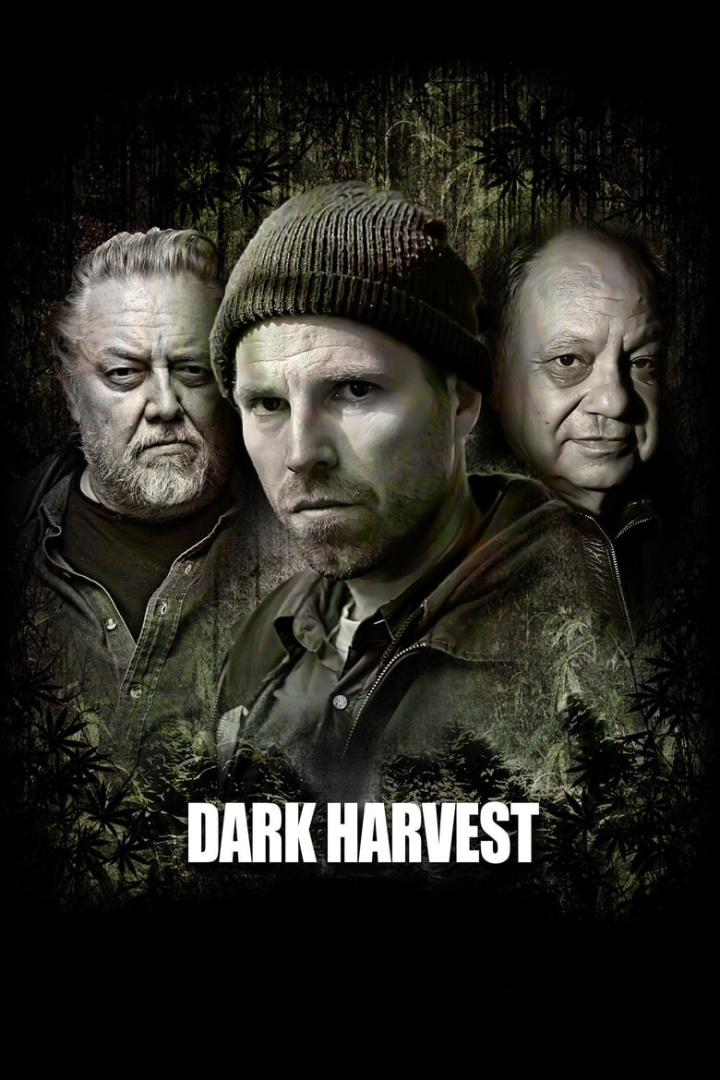 Dark Harvest i gruppen Alla filmer hos Mohamad shop (500270)