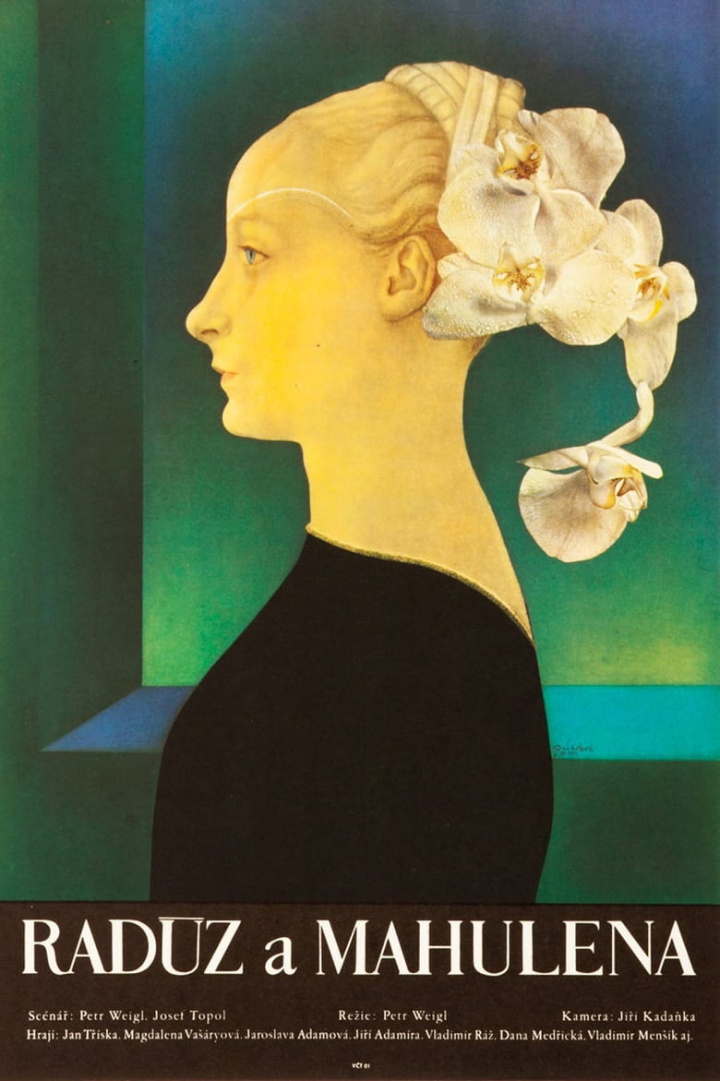 Radúz a Mahulena i gruppen Alla filmer hos Mohamad shop (500532)