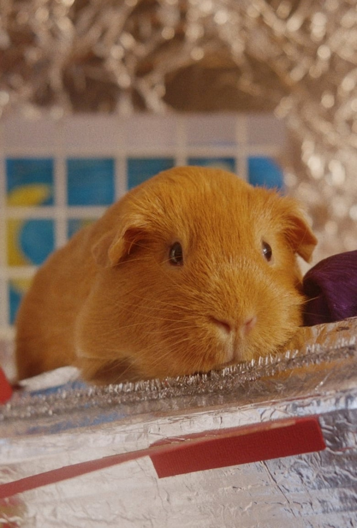 Sherbert Rozencrantz, You\'re Beautiful i gruppen Alla filmer hos Mohamad shop (500667)