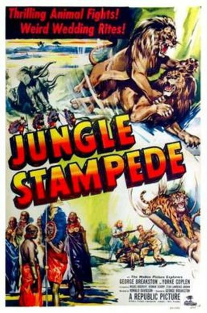 Jungle Stampede i gruppen Alla filmer hos Mohamad shop (500829)