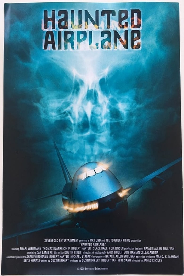 Haunted Airplane i gruppen Alla filmer hos Mohamad shop (501309)