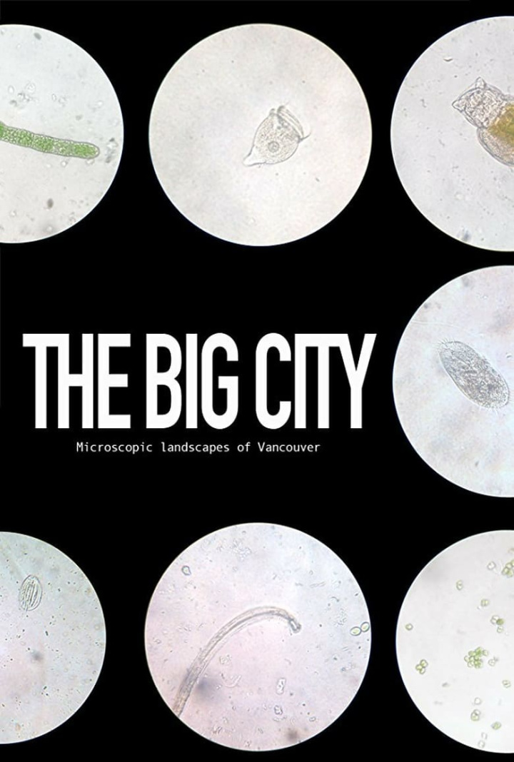 The Big City i gruppen Alla filmer hos Mohamad shop (501335)