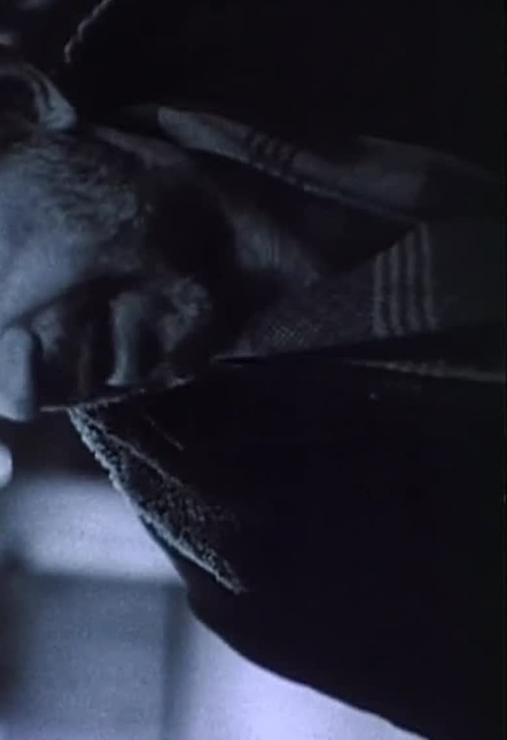 Neon Fairytales i gruppen Alla filmer hos Mohamad shop (502155)