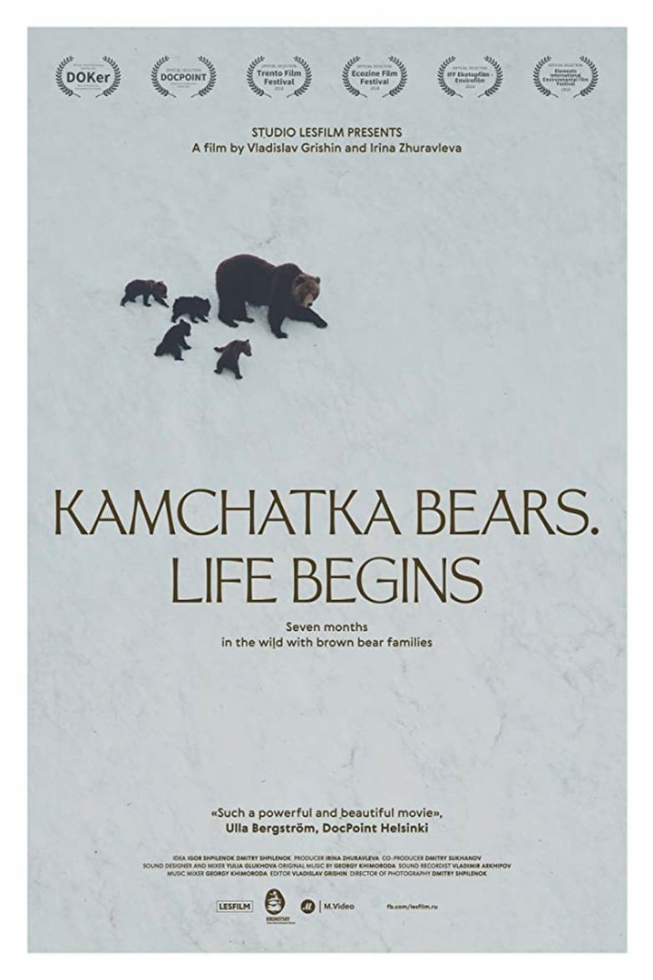 Kamchatka Bears. Life Begins i gruppen Alla filmer hos Mohamad shop (502632)