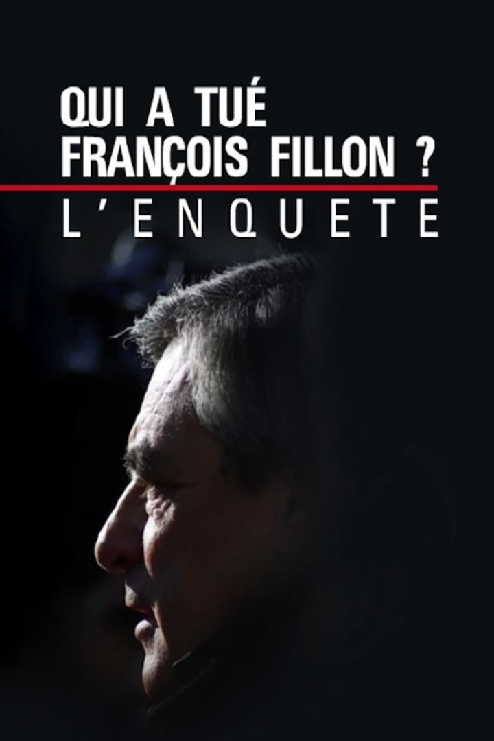 Qui a tué François Fillon ? L\'enquête BFM TV i gruppen Alla filmer hos Mohamad shop (502784)