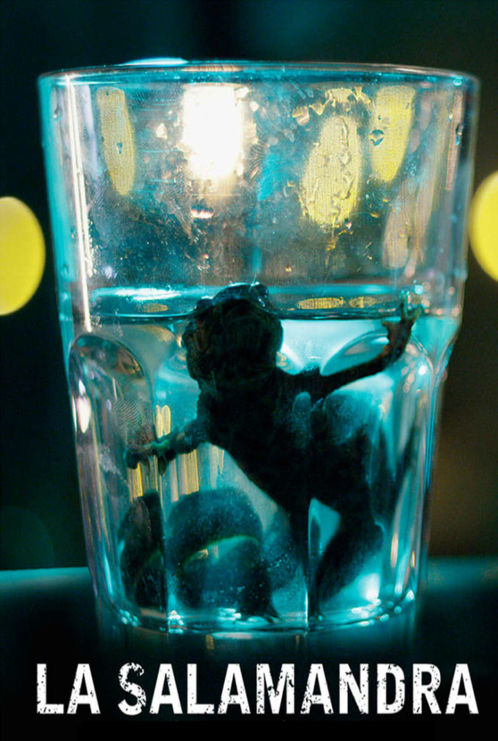 The Salamander i gruppen Alla filmer hos Mohamad shop (502869)