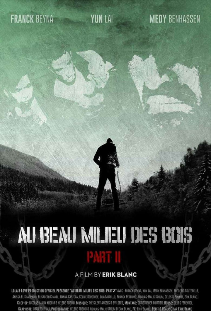 In the Middle of the Woods 2 i gruppen Alla filmer hos Mohamad shop (503036)