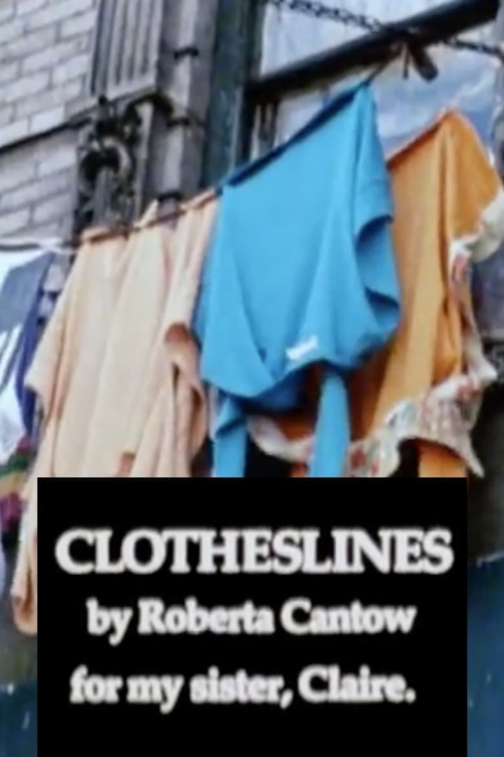 Clotheslines i gruppen Alla filmer hos Mohamad shop (503106)