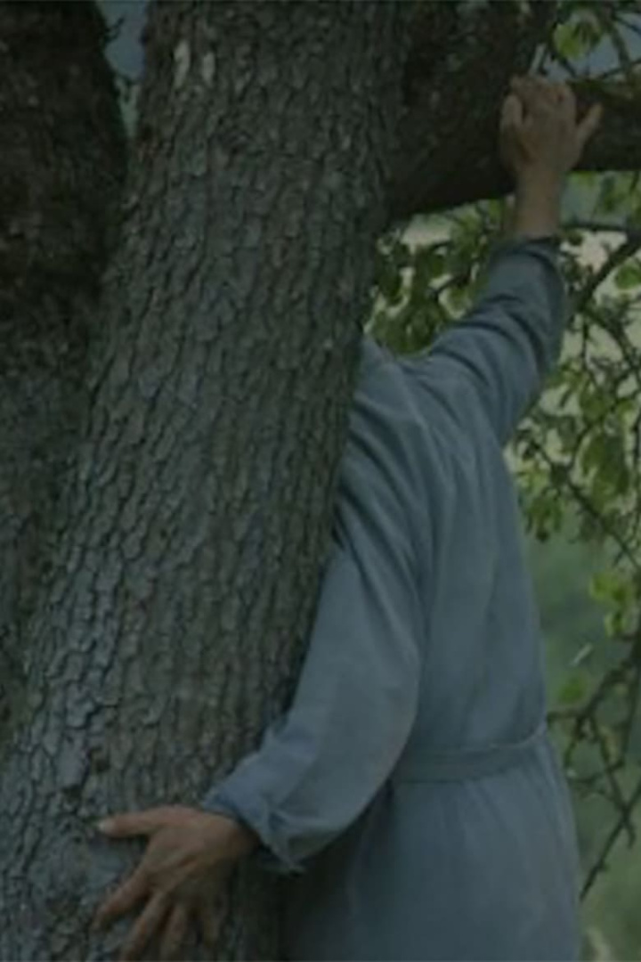 THE GARDENER i gruppen Alla filmer hos Mohamad shop (503162)