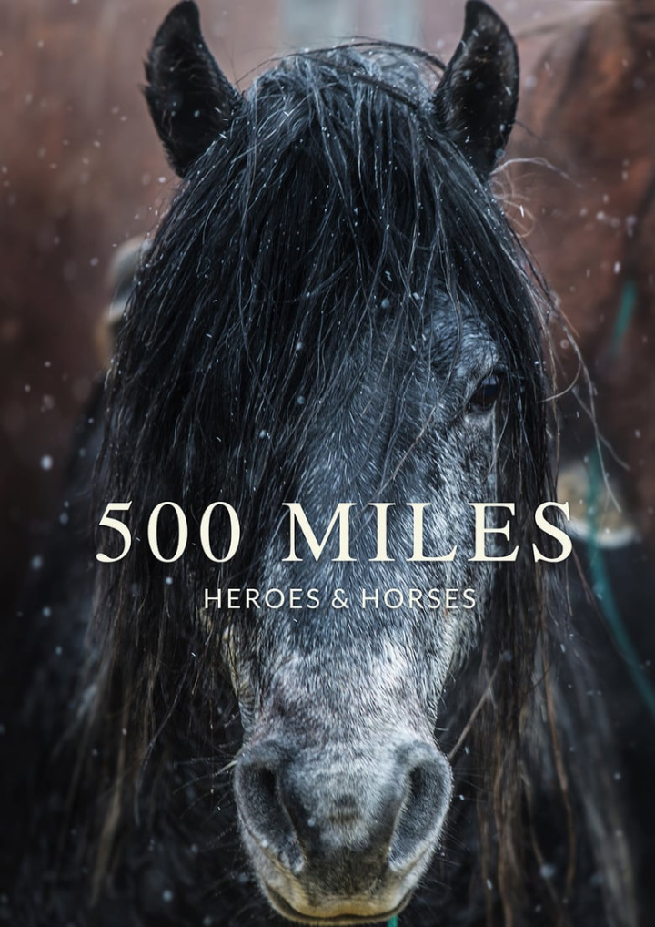 500 Miles - The Story of Ranchers and Horses i gruppen Alla filmer hos Mohamad shop (503202)