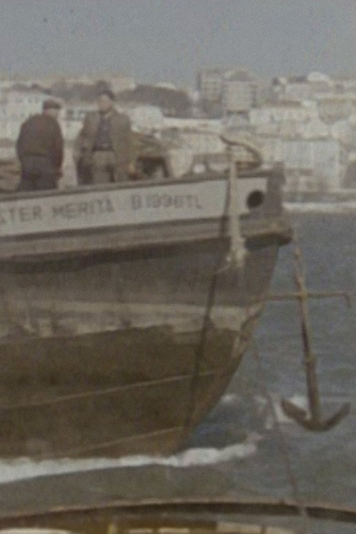 Tráfego e Estiva i gruppen Alla filmer hos Mohamad shop (503487)