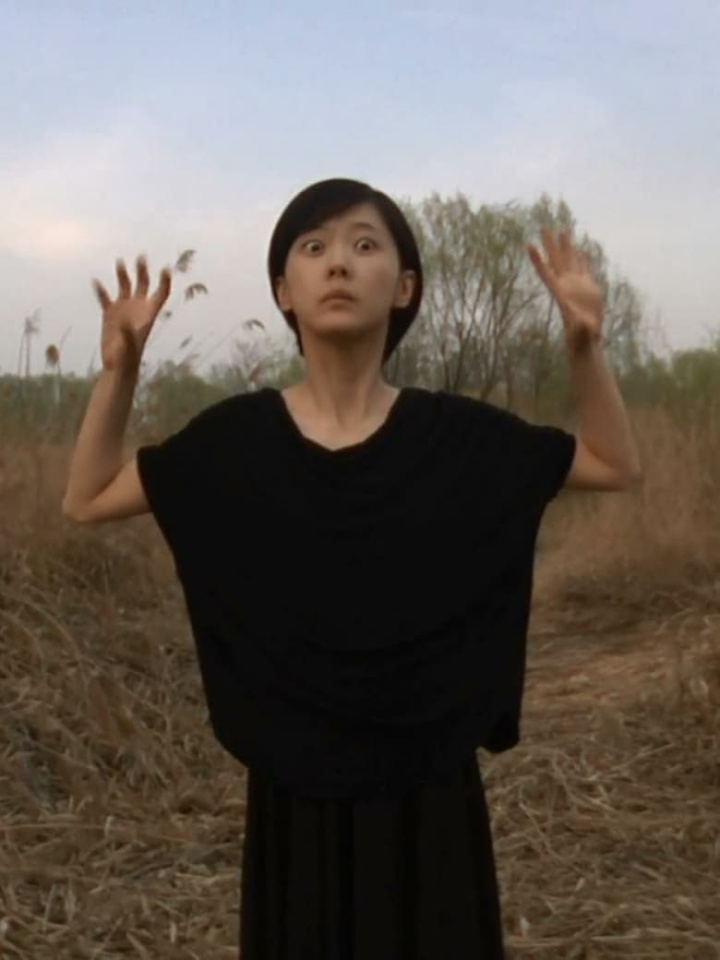 Animal Park i gruppen Alla filmer hos Mohamad shop (503882)