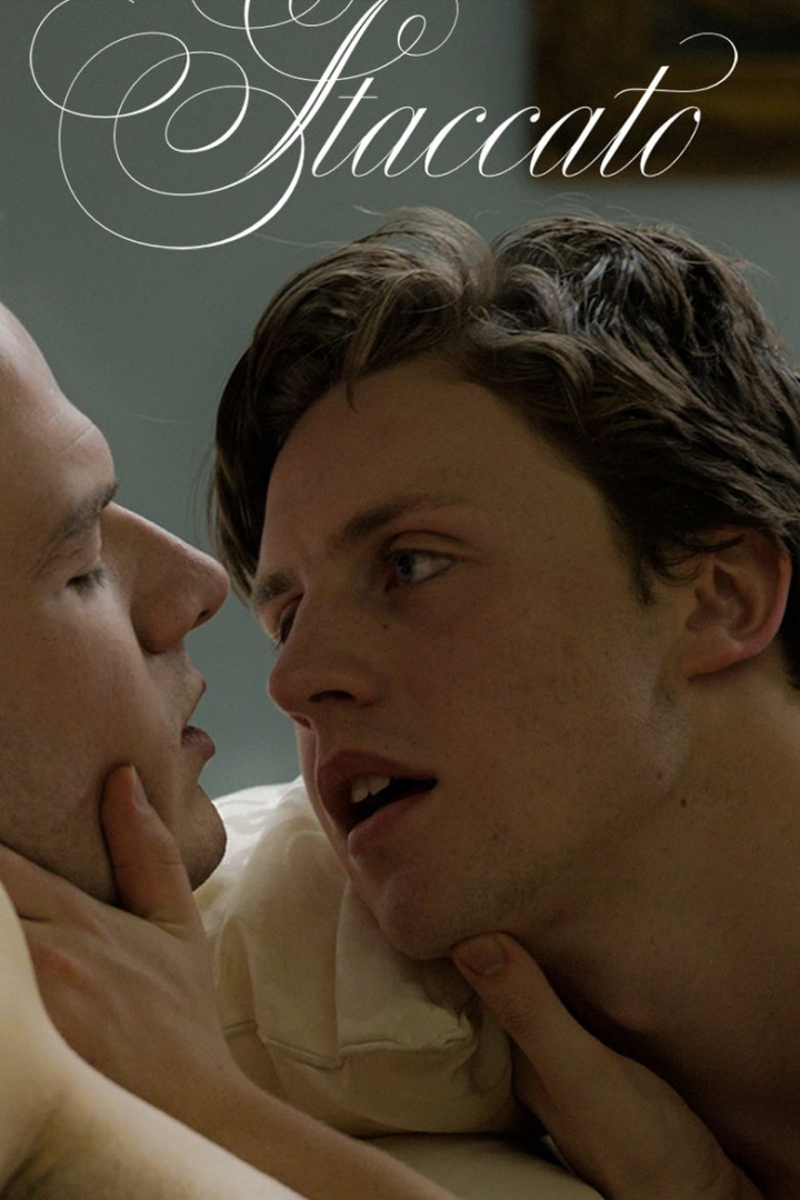 Staccato i gruppen Alla filmer hos Mohamad shop (504142)