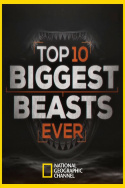 Top 10 biggest beast ever