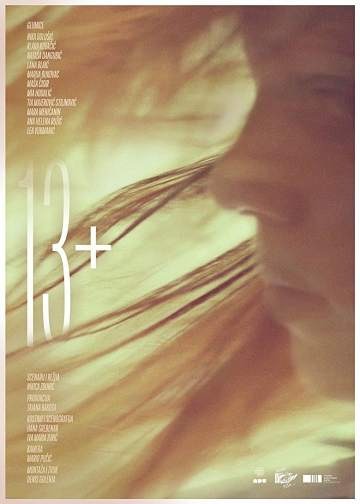 13+ i gruppen Alla filmer hos Mohamad shop (504505)