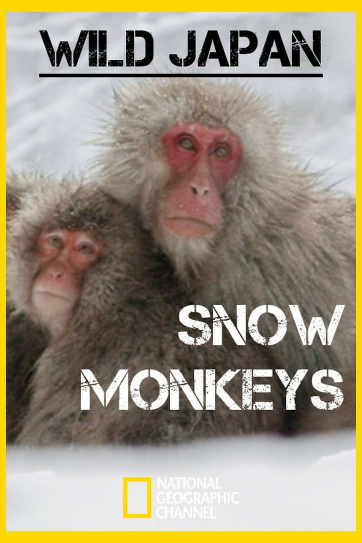 Wild Japan: Snow Monkeys i gruppen Alla filmer hos Mohamad shop (504764)