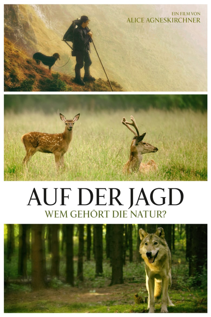 Auf der Jagd - Wem gehört die Natur? i gruppen Alla filmer hos Mohamad shop (504772)