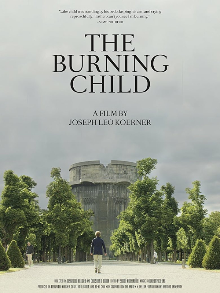 The Burning Child i gruppen Alla filmer hos Mohamad shop (504872)